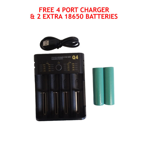 4 port charger and 18650 flat top batteries