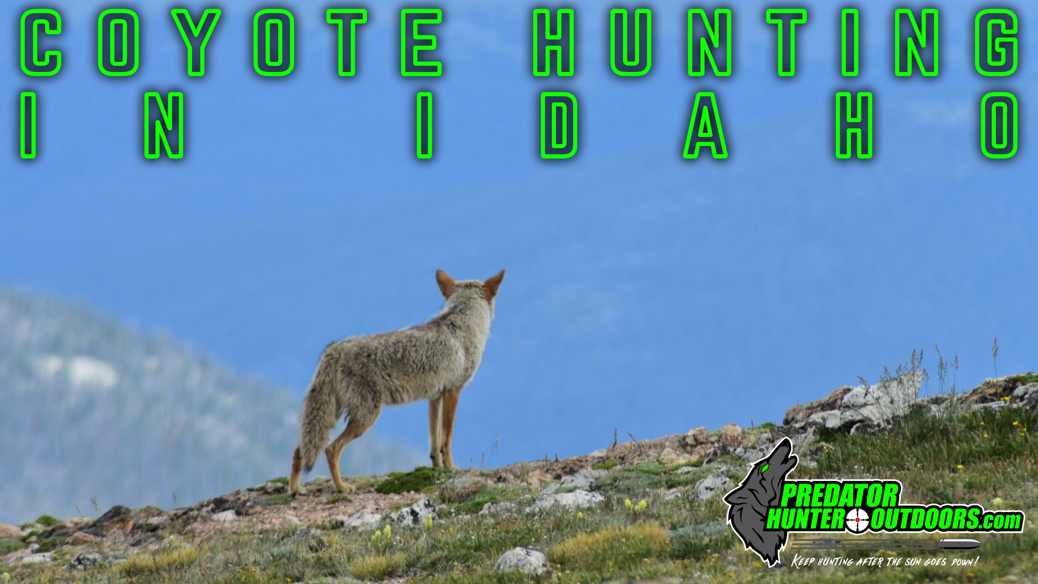 Coyote Hunting in Idaho