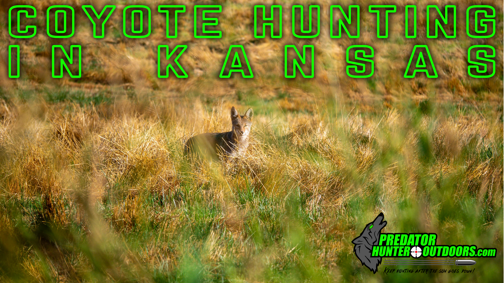 Coyote Hunting in Kansas