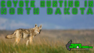 Coyote Hunting in North Dakota