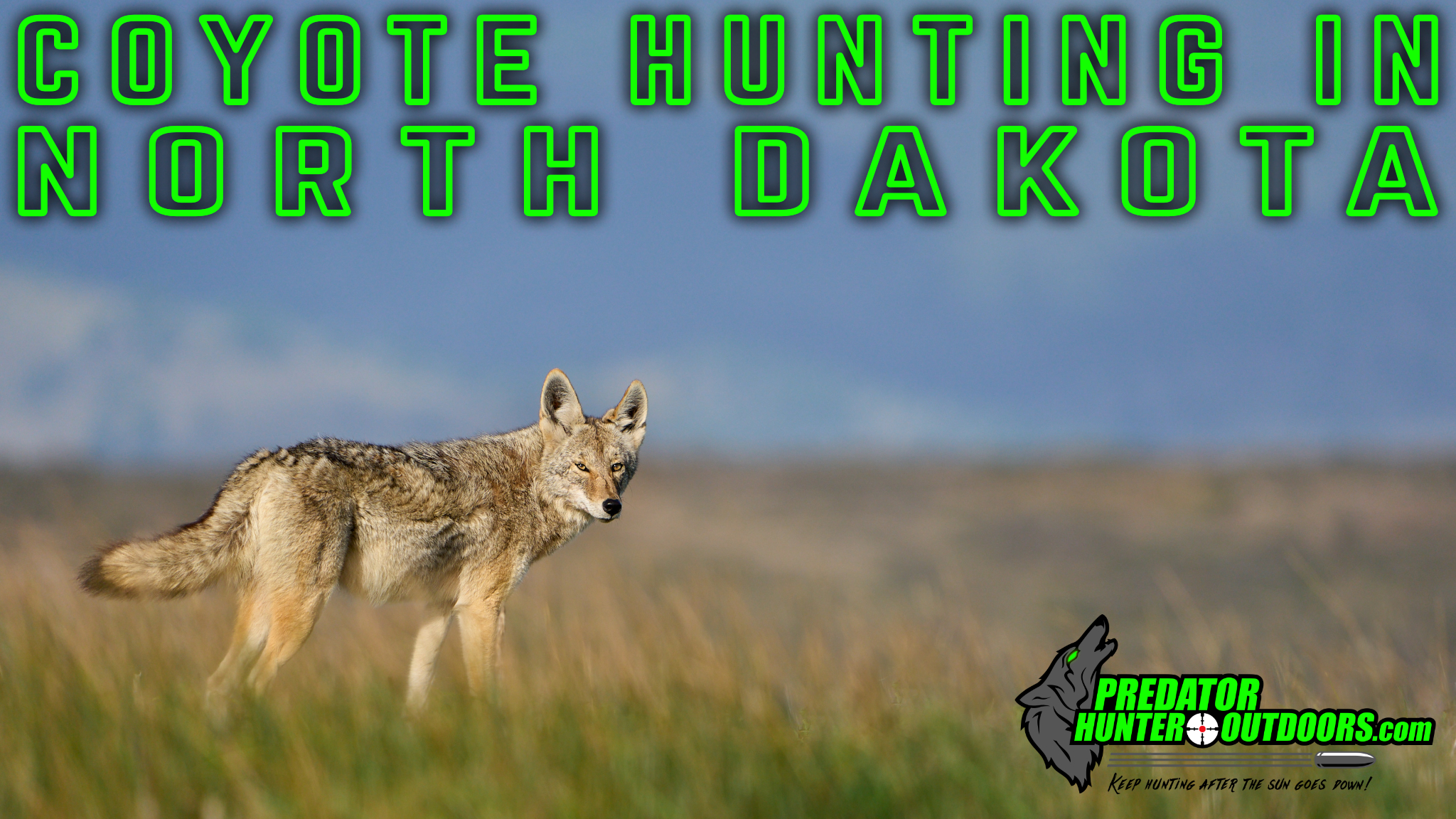 Coyote Hunting in North Dakota