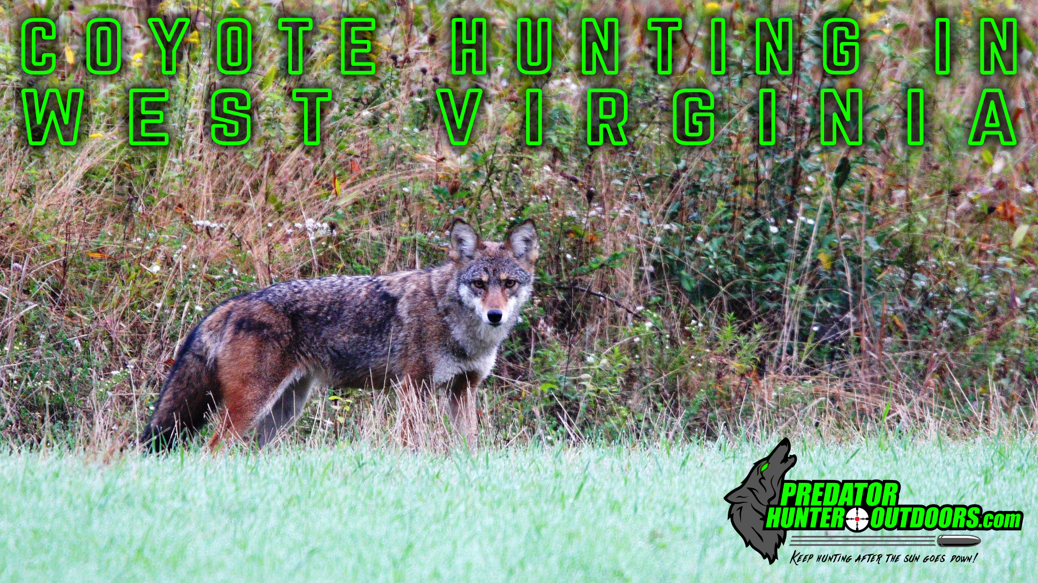 Coyote Hunting in West Virginia