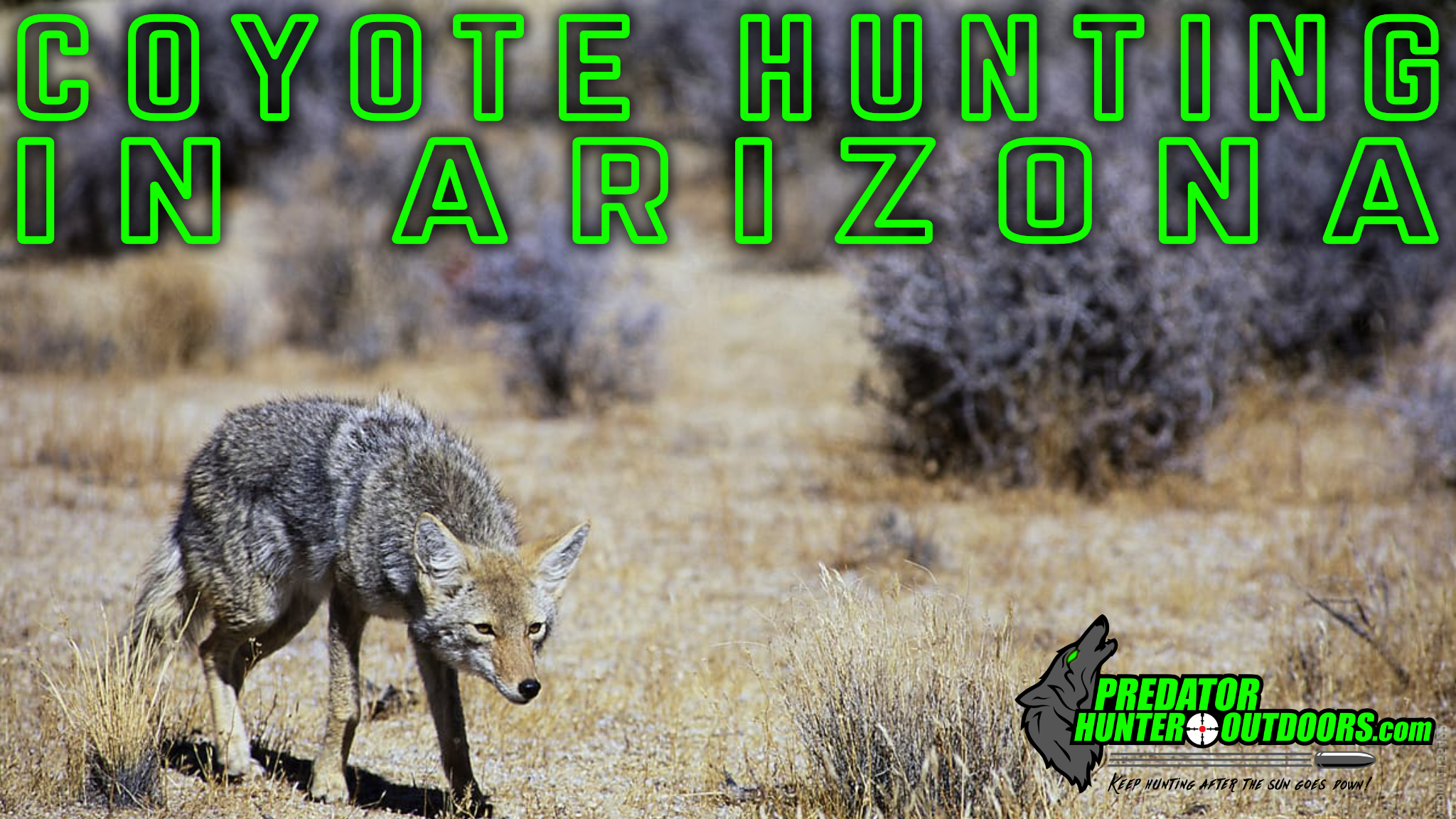 Coyote Hunting in Arizona