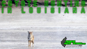 Coyote Hunting in Louisiana
