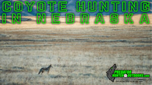 Coyote Hunting in Nebraska