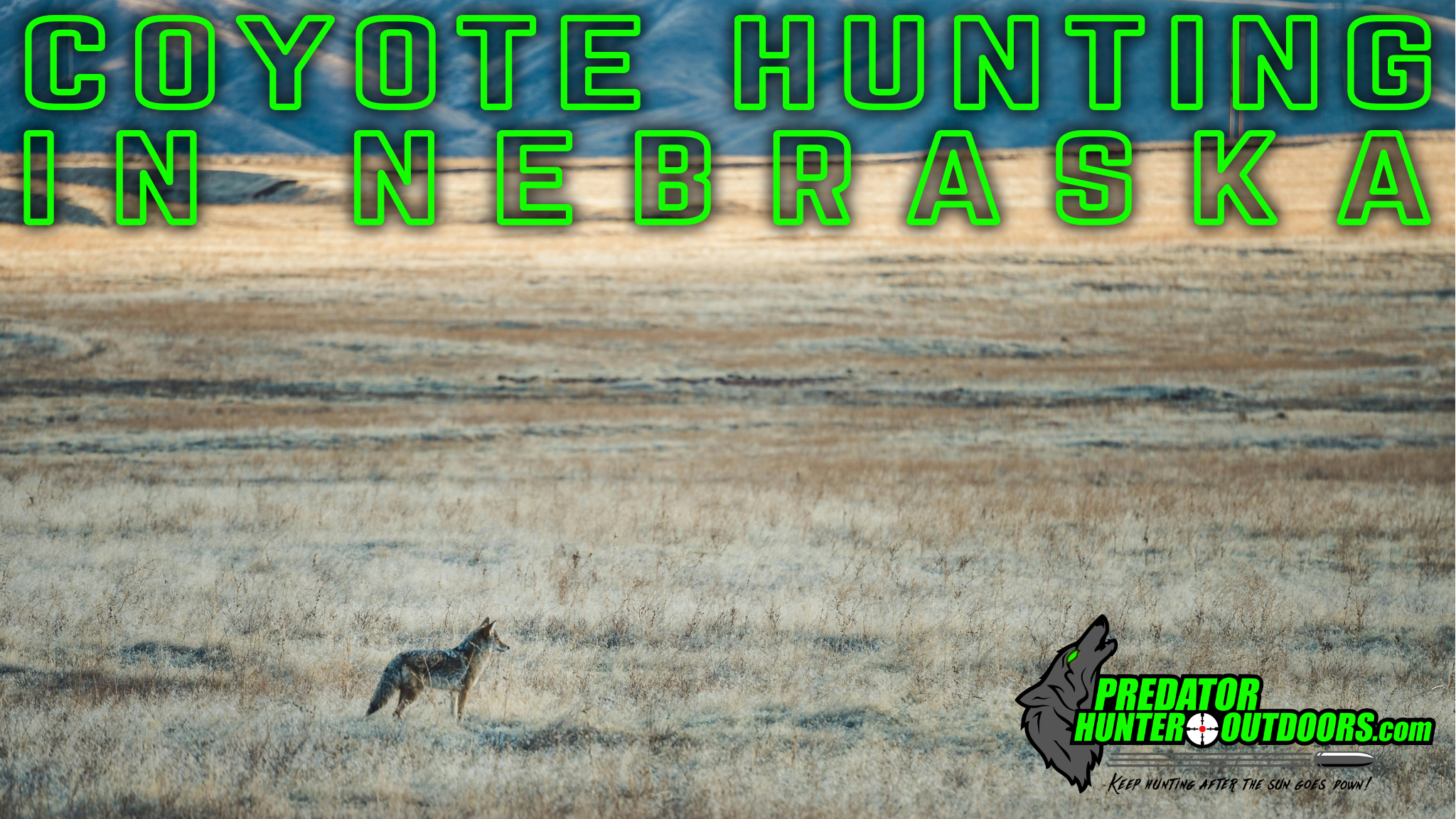 Coyote Hunting in Nebraska
