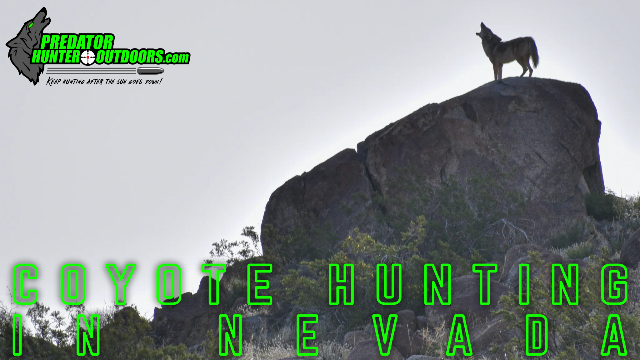 Coyote Hunting in Nevada