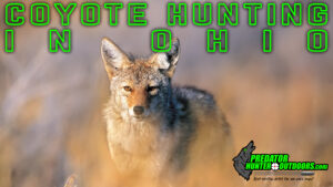 Coyote Hunting in Ohio