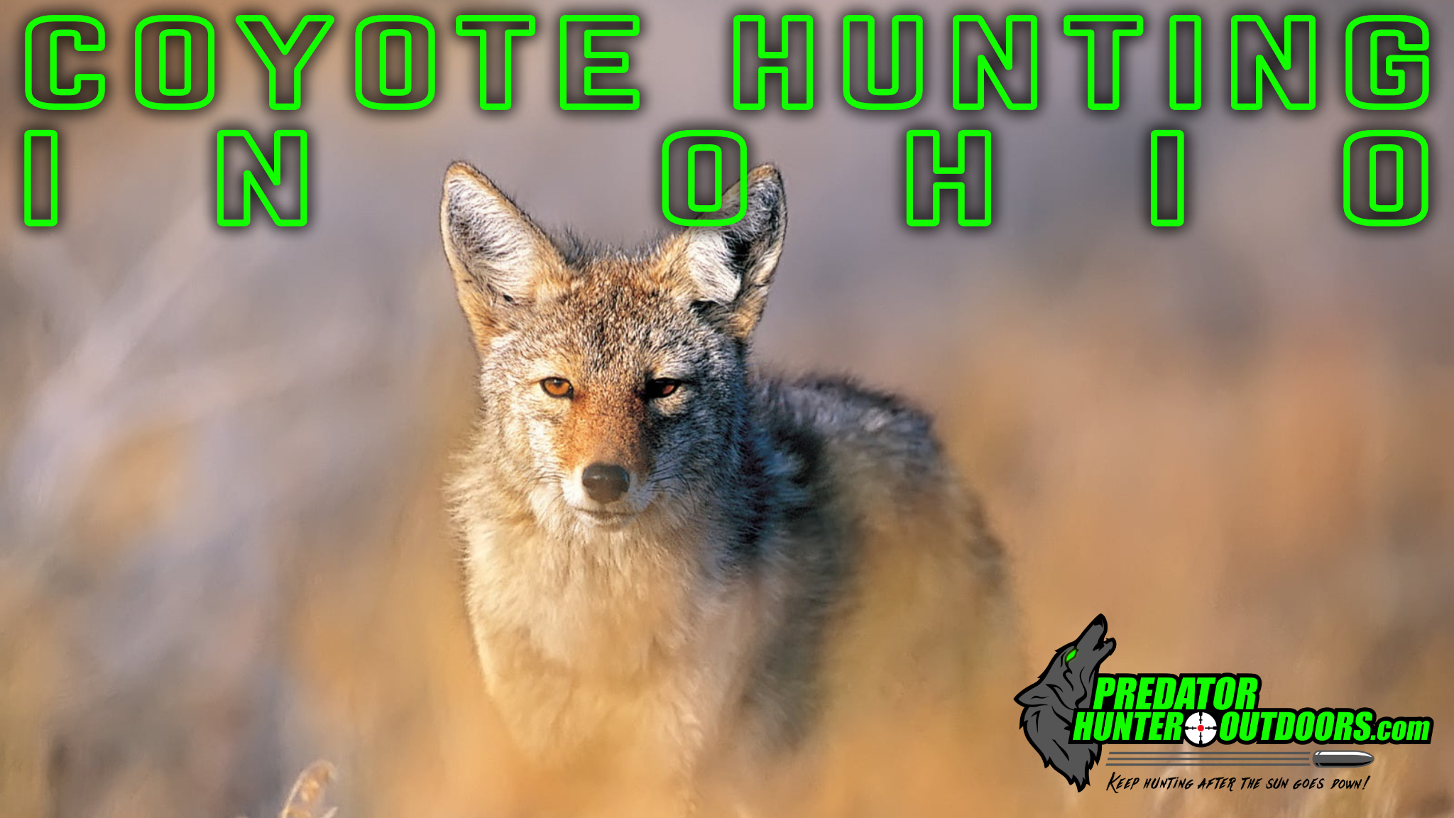 Coyote Hunting in Ohio