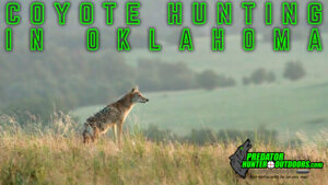 Coyote Hunting in Oklahoma