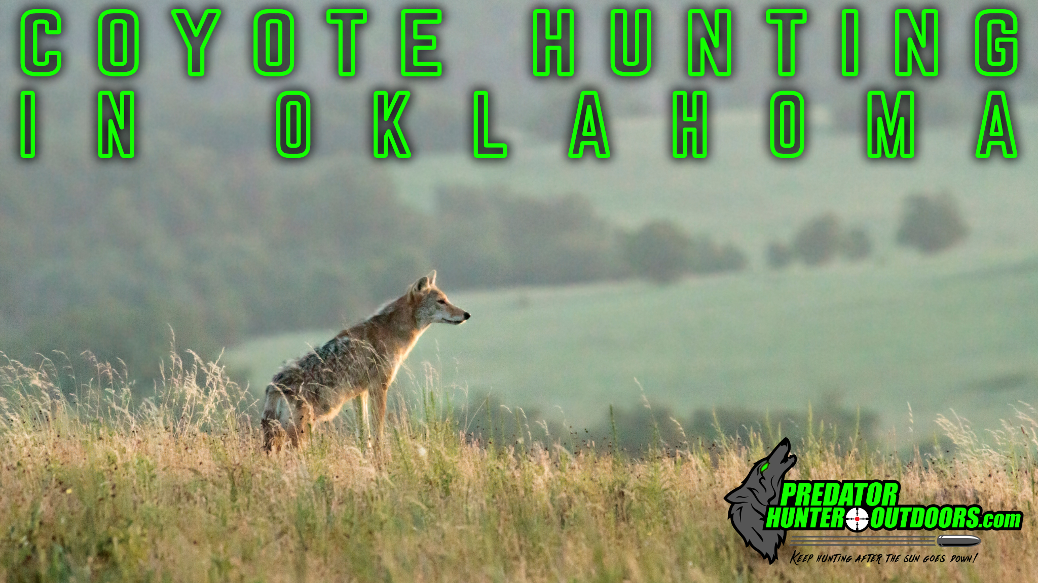 Coyote Hunting in Oklahoma