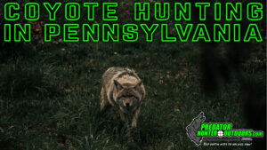 Coyote Hunting in Pennsylvania