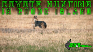 Coyote Hunting in Rhode Island