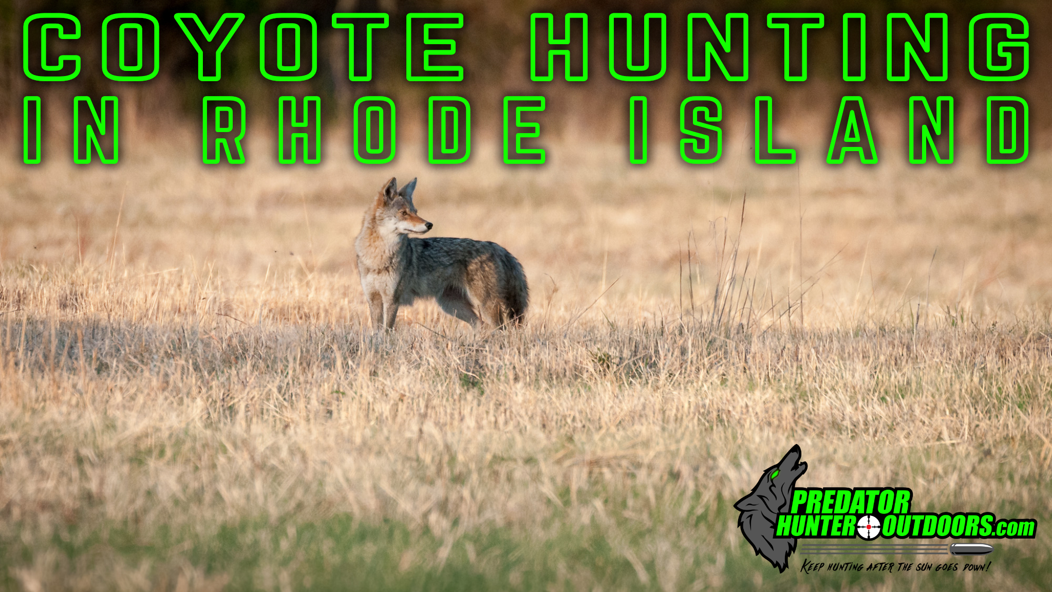 Coyote Hunting in Rhode Island