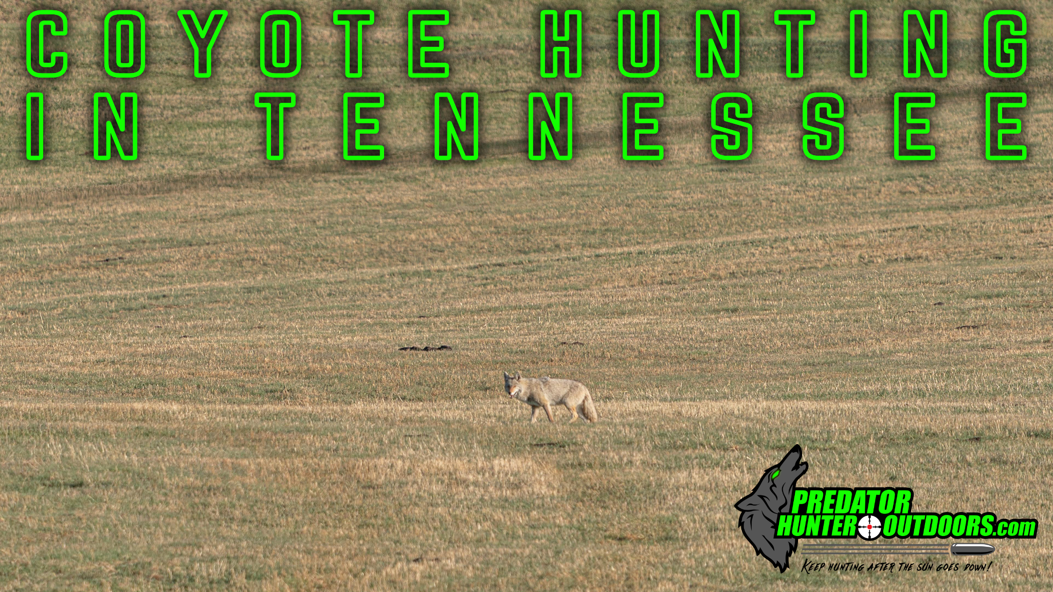 Coyote Hunting in Tennessee
