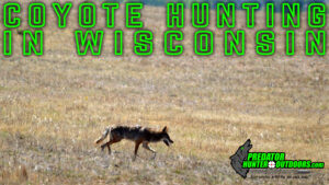 Coyote Hunting in Wisconsin
