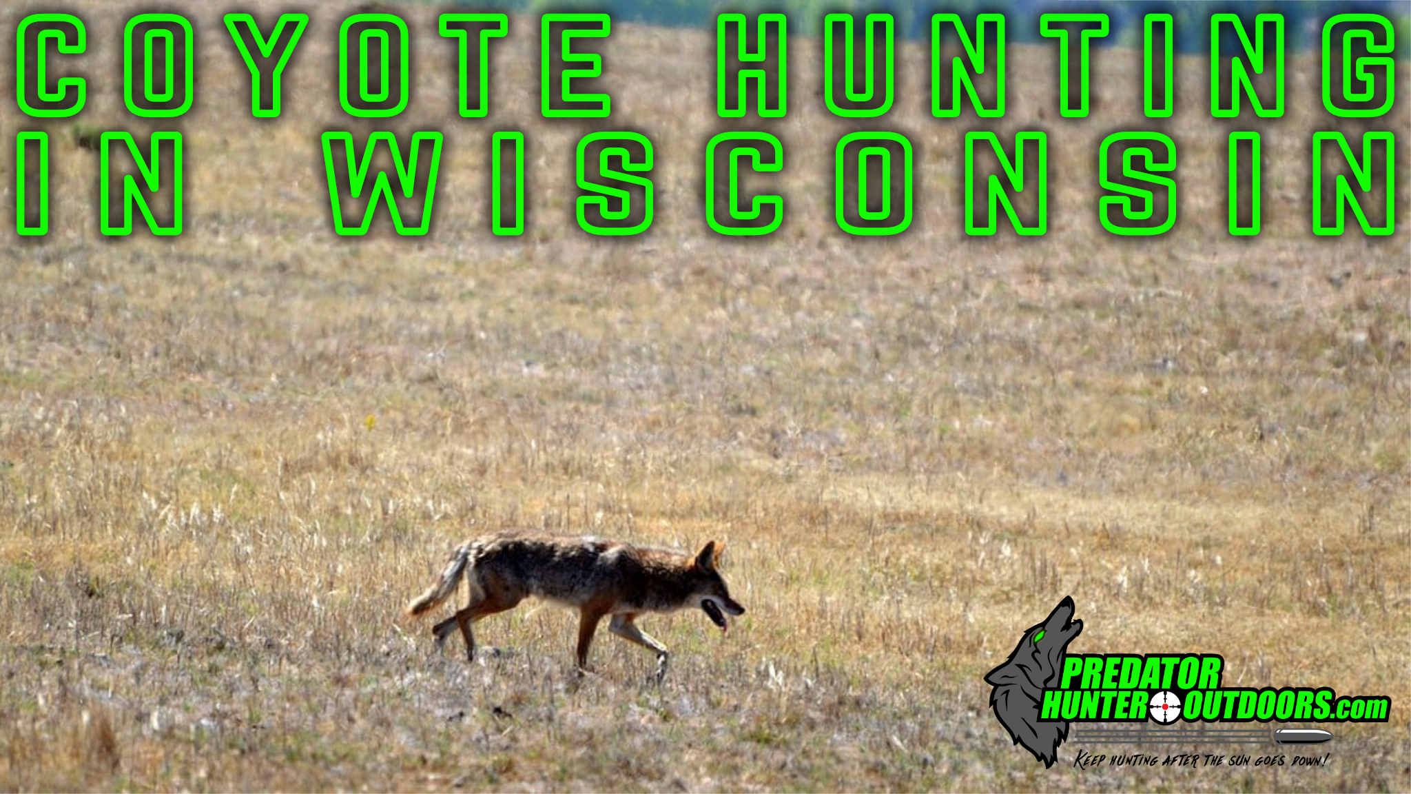 Coyote Hunting in Wisconsin
