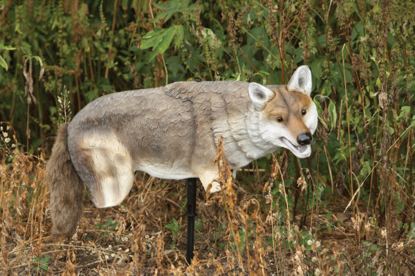 Lucky Duck Yote Coyote Decoy